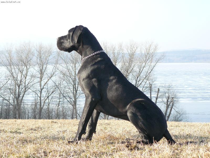 Foto: K�rass z Josefovsk�ch bud-K�rass z Josefovsk�ch bud