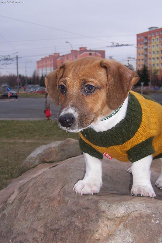 Foto: Robinek-Robinek