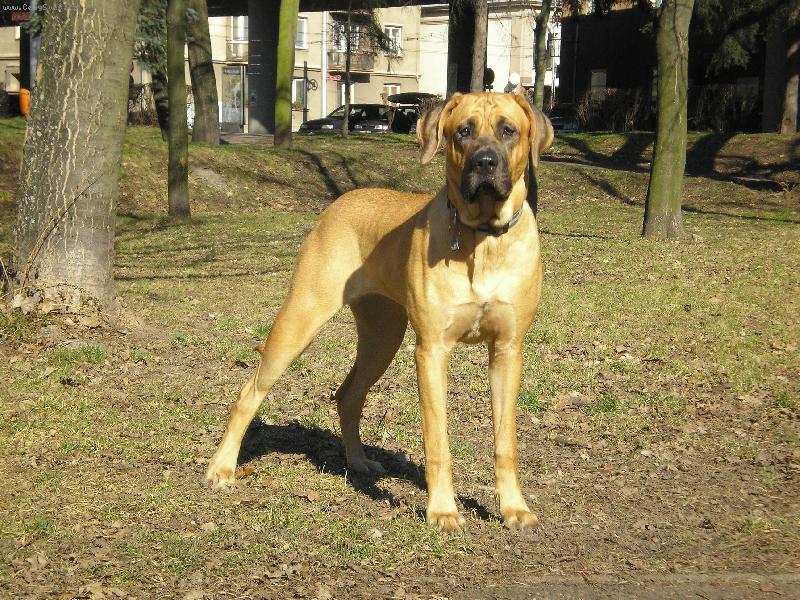 Foto: Baira Taik�-je mi 9 m�s�c�