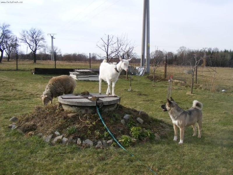 Foto: J�  MOJI KAMAR�DI