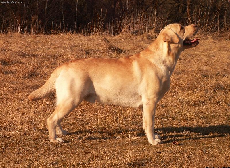 Foto: Ali :)-Ali postoj