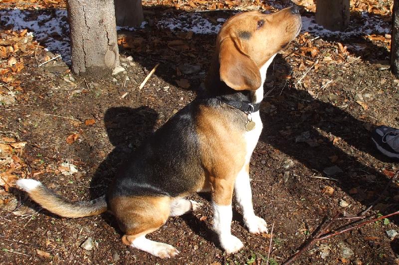 Foto: �EK�M NA P�RE�EK-N�� MIL��EK