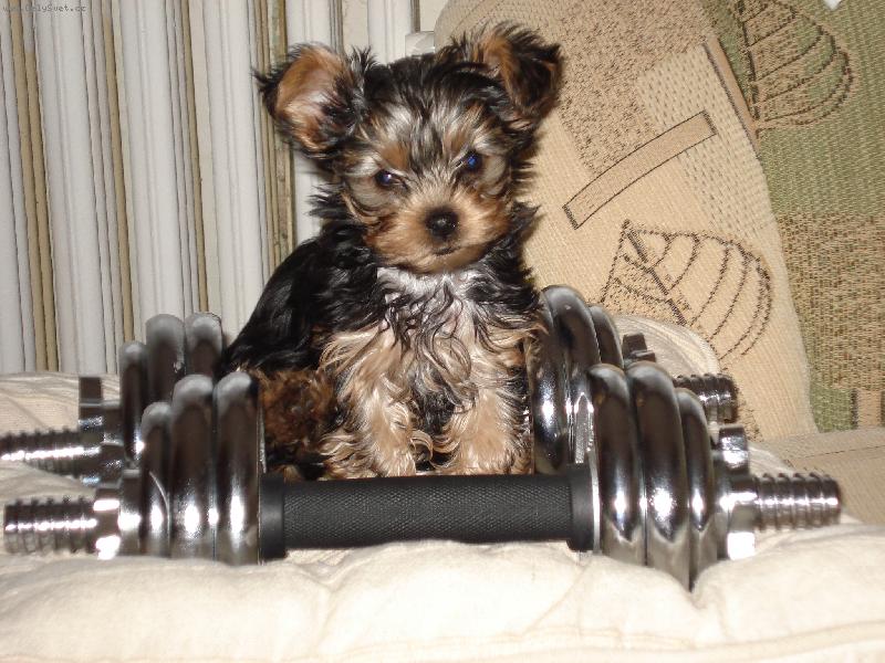 Foto: Sportovkyn�-Alinka