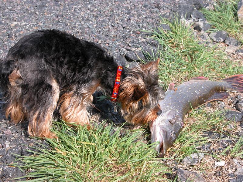 Foto: Mat�sek-J��� - co to je