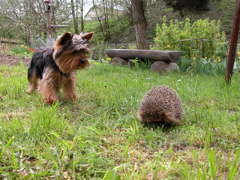 Foto: Mat�sek-No to jsem je�t� nevid�l