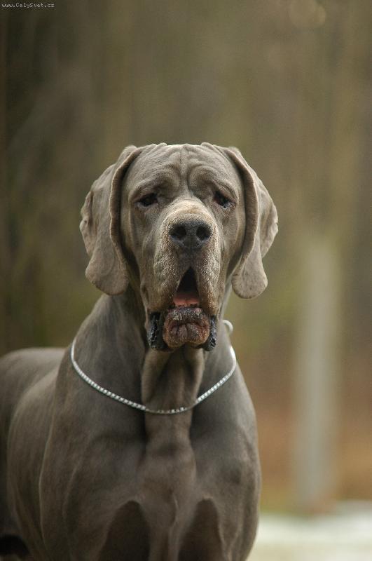 Foto: Jane�ek...-kuku�