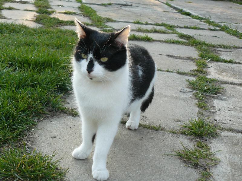 Foto: Jarn� proch�zka