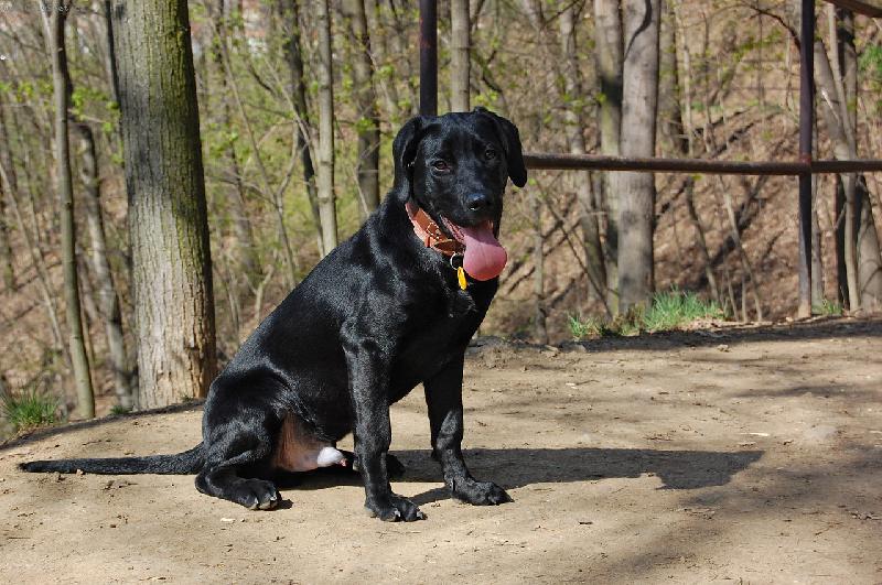 Foto: Jarn� unaven�