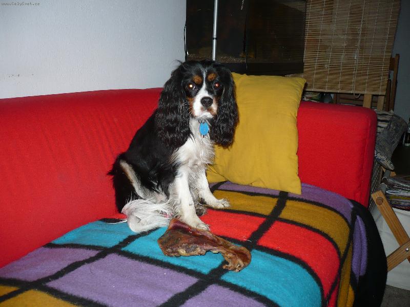 Foto: To bylo ale velk� ucho-:)