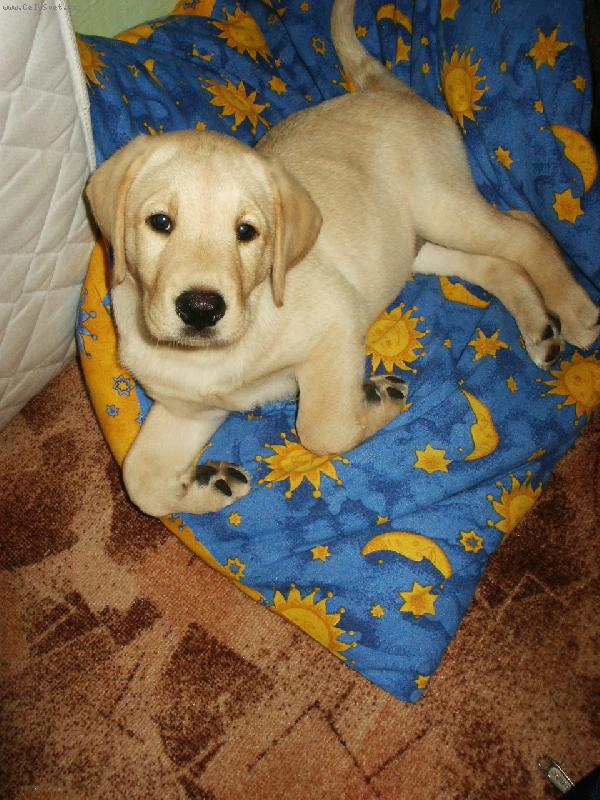 Foto: Zase fot�?-:)