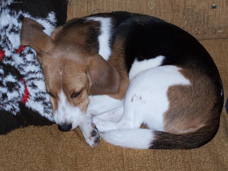 Foto: Niky spink� na pol�t��ku :)