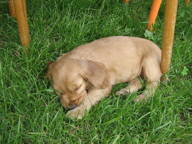 Foto: jsem se unavila