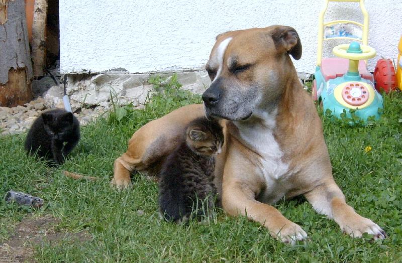 Foto: ...to jsou ti trha�i.....-.....kter� je kter�??........ :-)