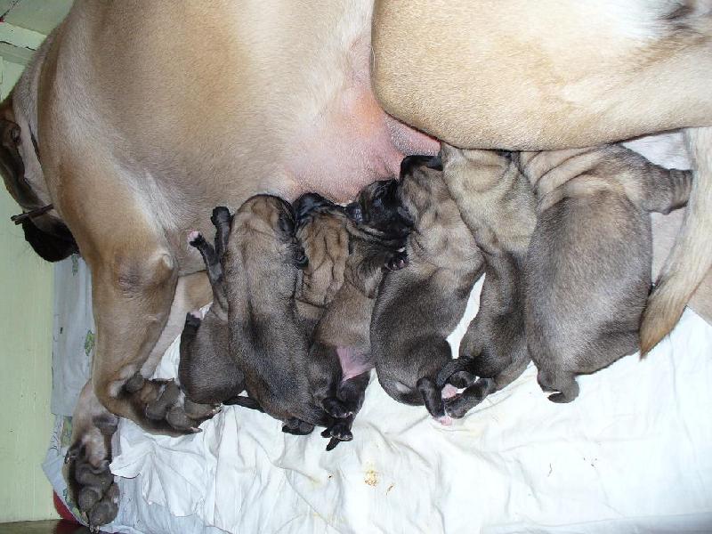 Foto: Babeta od P��bora   vrh B