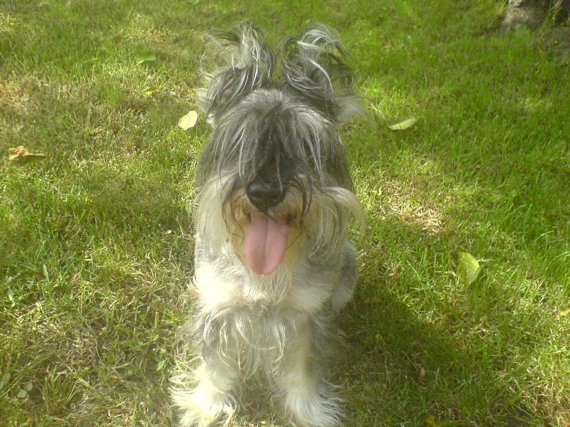 Foto: Mil��ek Dave-N� nejlep�� p��tel