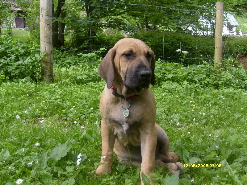 Foto: Sedanek na travicce