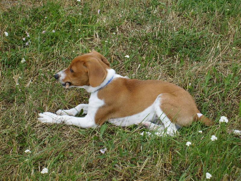 Foto: na�e �t�n�tko:)