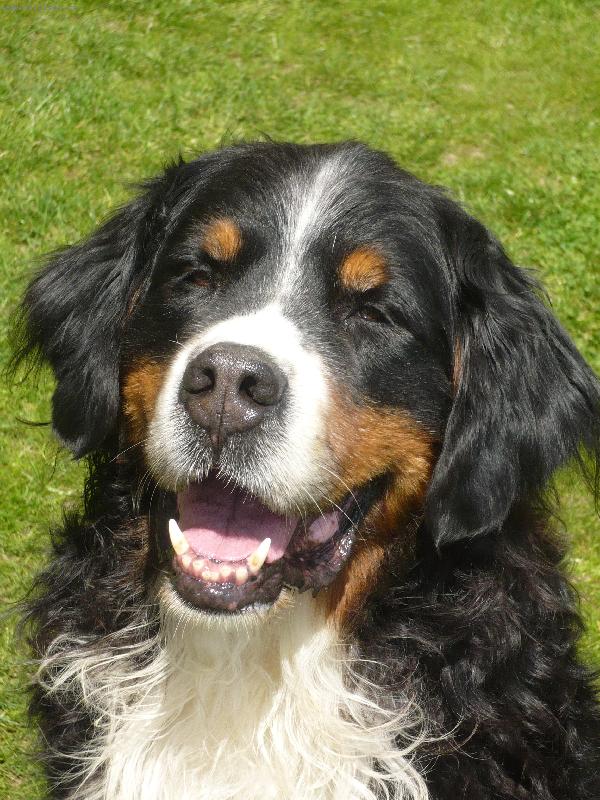 Foto: �sm�v, pros�m !-Dyk m�l dobrou n�ladu ;-)