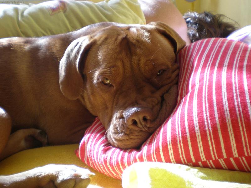 Foto: Arleta-Odpo�inek