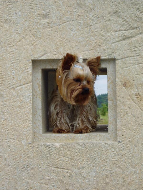 Foto: trocha um�n�-Ho�ice a Ady