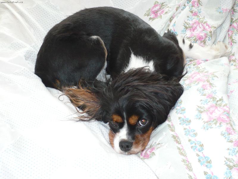 Foto: Moje obl�ben� m�sto