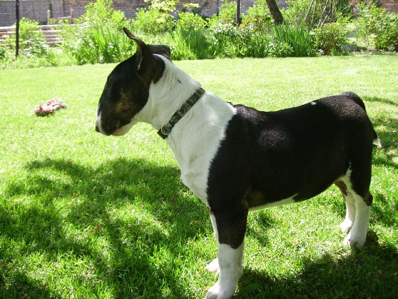 Foto: Moje l�se�ka