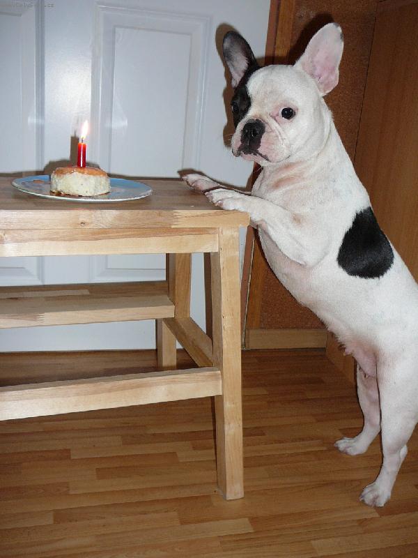 Foto: lilinka je velk� holka