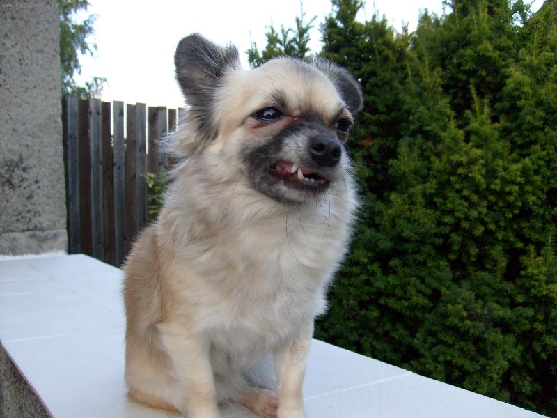 Foto: �patn� n�lada . . .