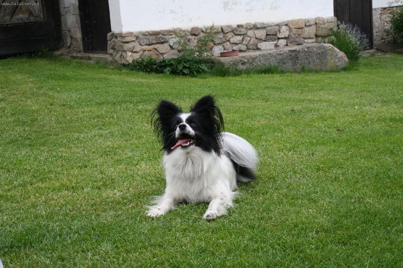 Foto: ps� �sm�v