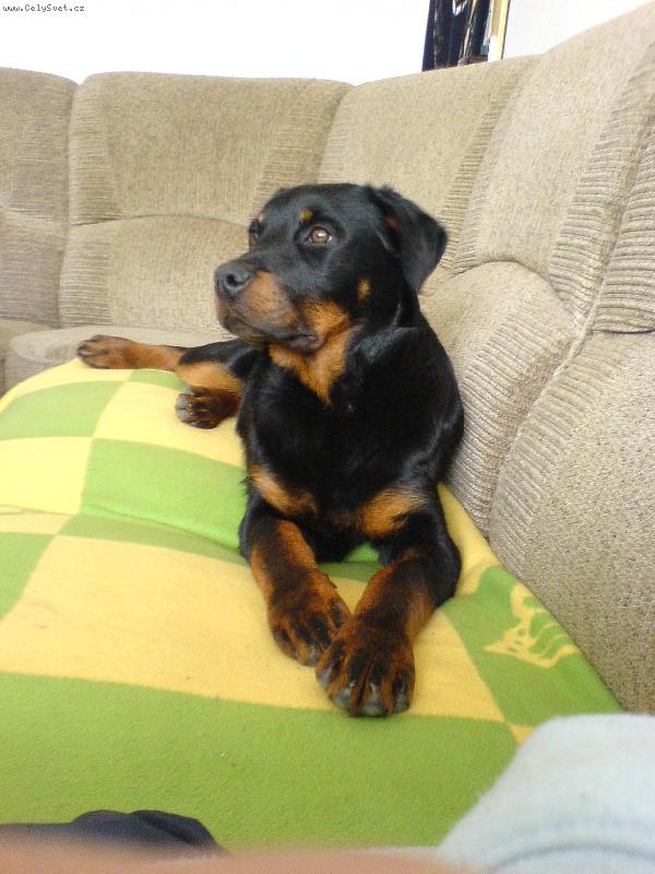 Foto: dag-Na�e miminko