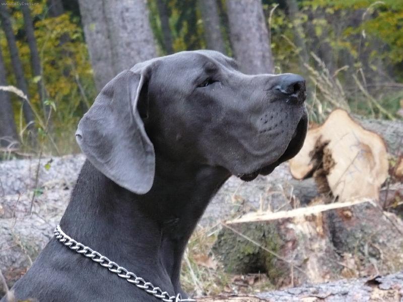 Foto: Buraczek Helza