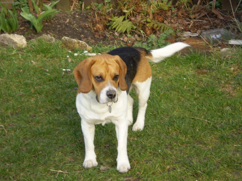 Foto: Jmenuji se Oskar