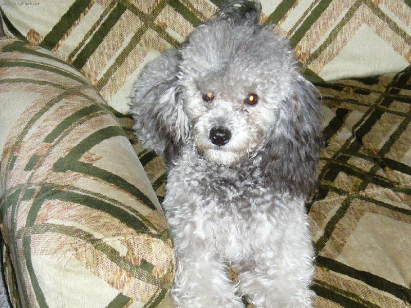 Foto: na�e Sindu�ka