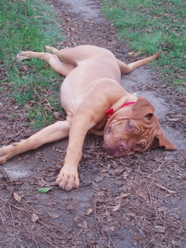 Foto: Opo�inek-Odpo�inek