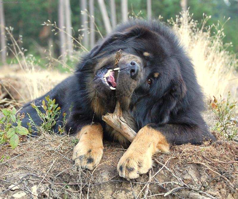 Foto: Bill-Board-Bill-Board