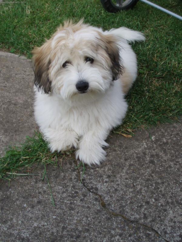 Foto: Enny-4. m�s�ce