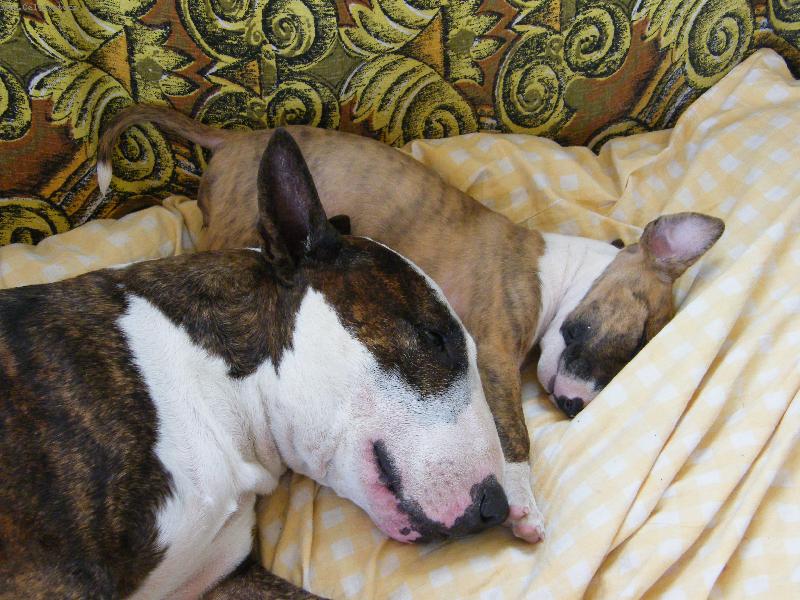 Foto: takhle spolu spink�me