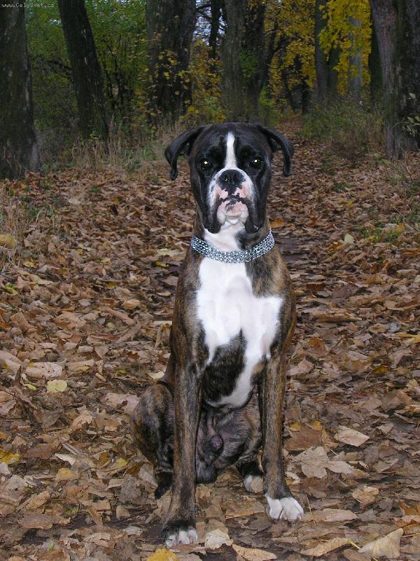 Foto: Podzim a Max�k