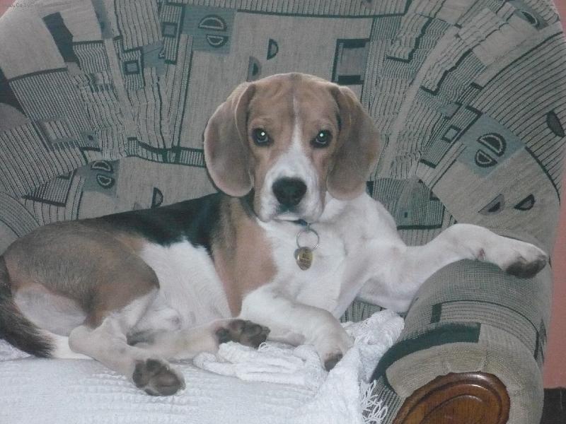 Foto: Billi�ek Olomouc 1rok-Bill��ek Olomouc 1rok