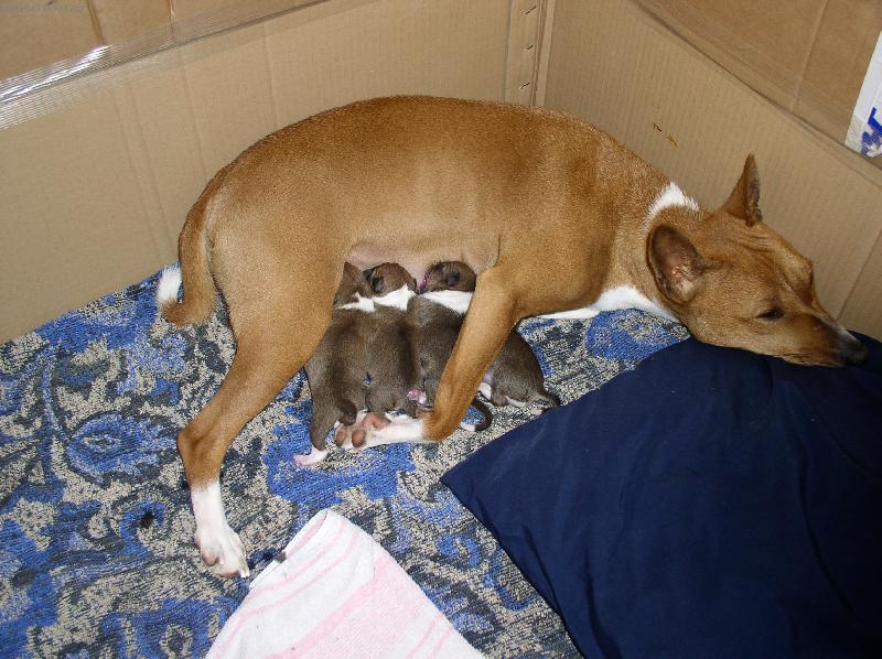 Foto: �t���tka-�ty�n�sobn� mal� radost