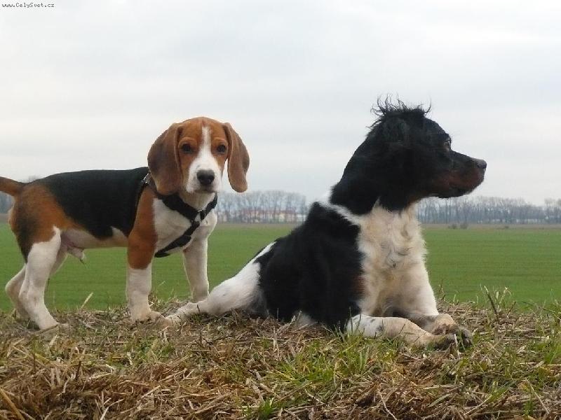 Foto: Meny von Lopatka