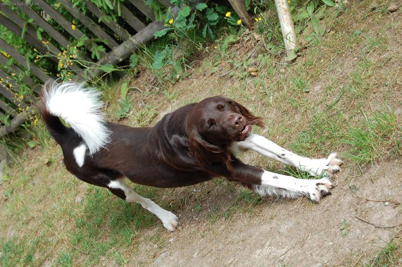 Foto: MMO Grey z Rozbornu