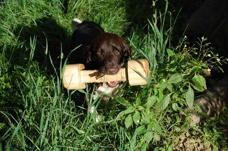 Foto: Grey z Rozbornu