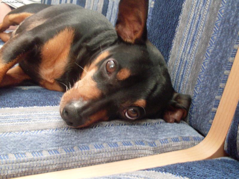 Foto: Mates-Mates�v roztomilej kuku�