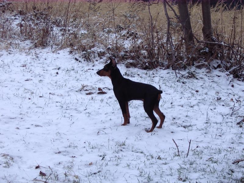 Foto: Art  5m�s�cu