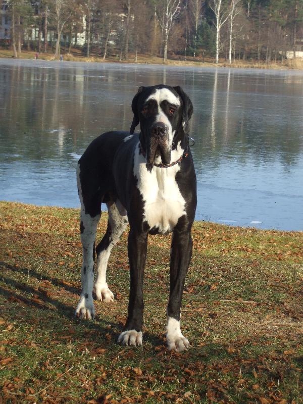 Foto: Etoscha od Han�nsk�ho lomu