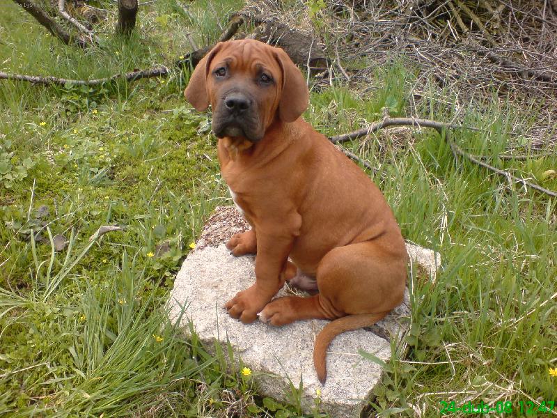 Foto: Gorb�k-ve t�ech m�s�c�ch