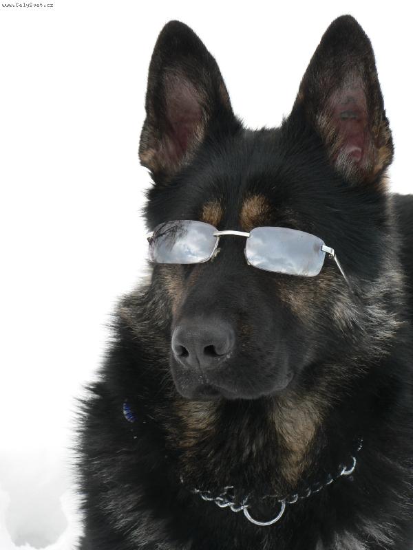 Foto: Slne�n� l��e s� nebezpe�n�!-Gera