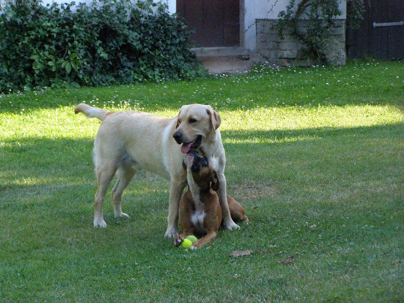 Foto: Andy-....se svou velkou l�skou