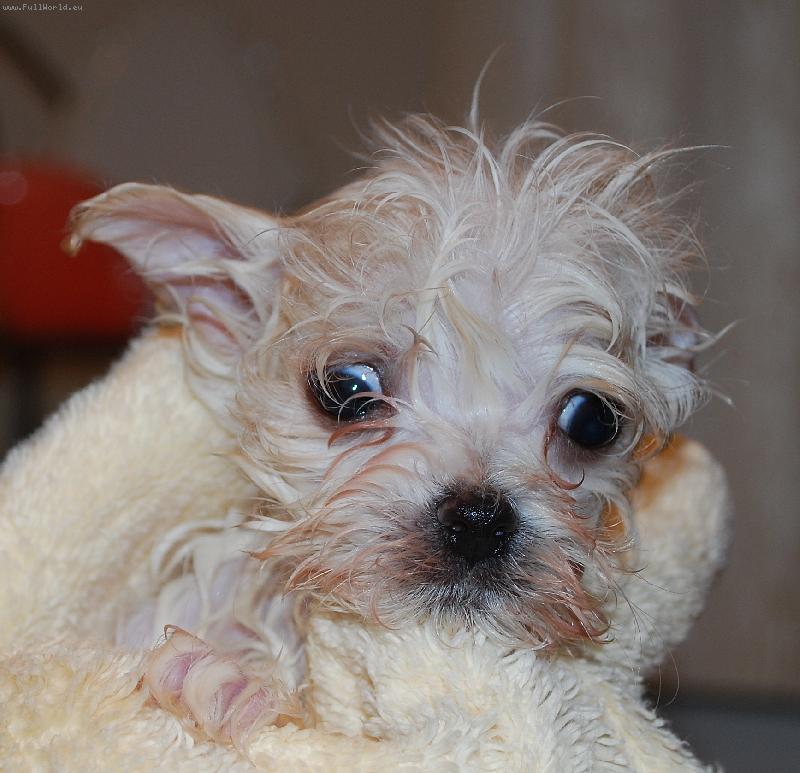 Foto: First Bath-Tobys First bath